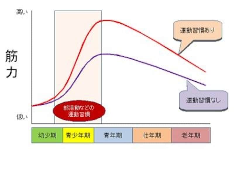 なぜ筋トレをする投資家は資産を作れるのか 2 資産運用 All About