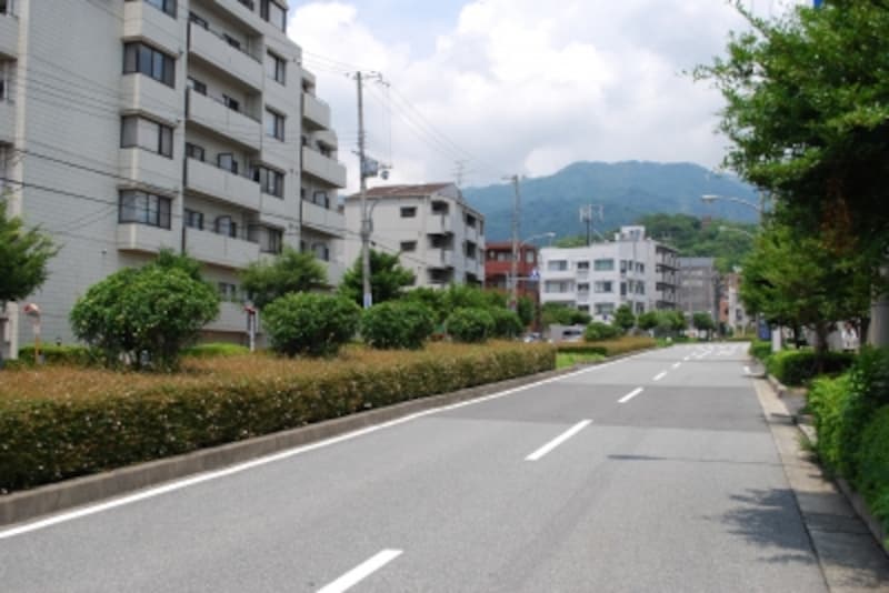 南北をつなぐメイン幹線となる弓場線。北へ向かって緩やかな上り坂。