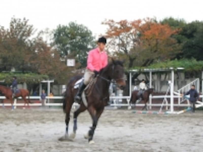 馬事公苑周辺には規模の多いマンションが多く、中には築年数が経っていても人気の物件も