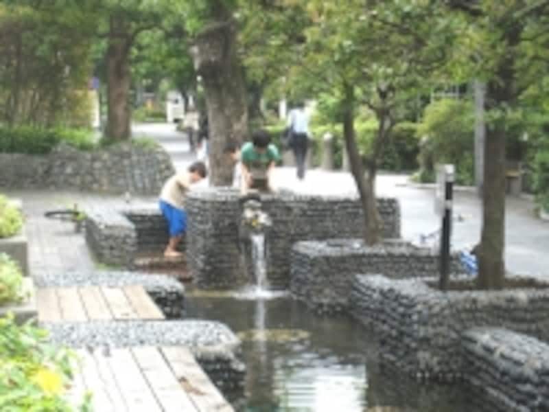 子どもにとっては遊び場も多く、自然に触れ合える街用賀。あちこちで子どもの声が聞こえたのが印象的だった