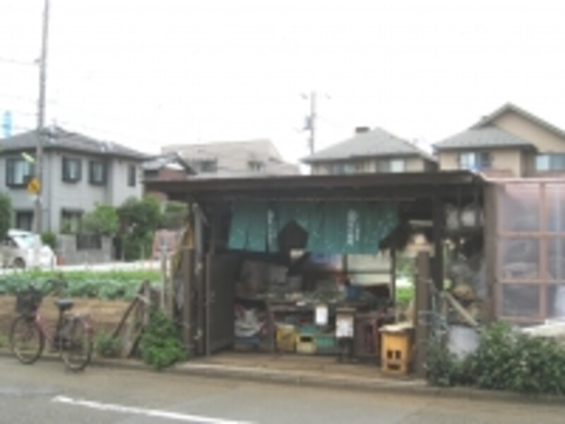 都市の農地だけに種類は豊富。野菜以外に花卉などを育てている農家も