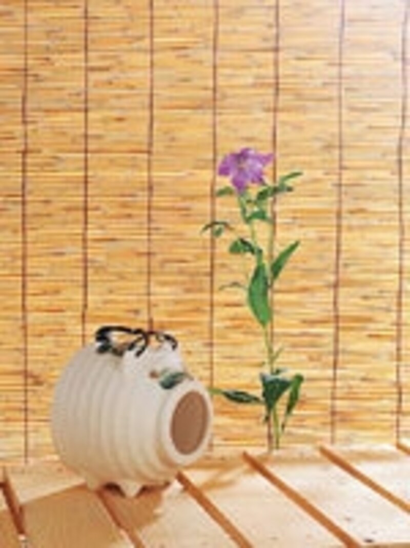 エアコンばかりに頼らず、涼しく過ごす工夫をしたいものです