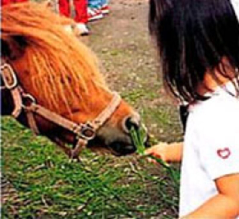 3 3 テレビのない夏休み 英語でサマーキャンプ サホロ サマーキャンプin北海道 早期教育 幼児教育 All About 3 3 テレビのない夏休み 英語でサマーキャンプ サホロ サマーキャンプin北海道 早期教育 幼児教育 All About