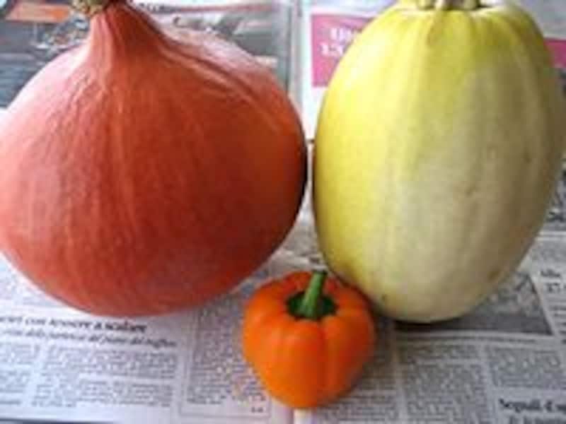 お化けかぼちゃ