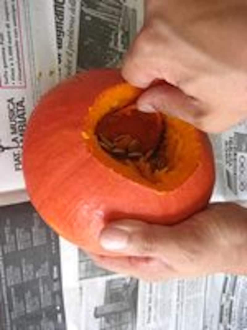 お化けかぼちゃ