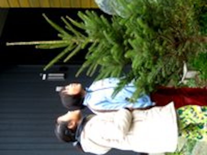 クリスマスツリー