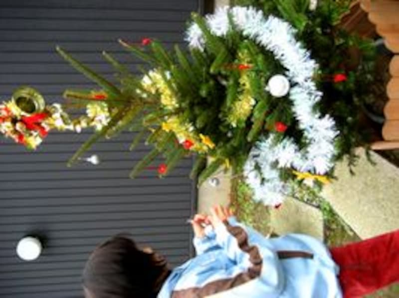 クリスマスツリー