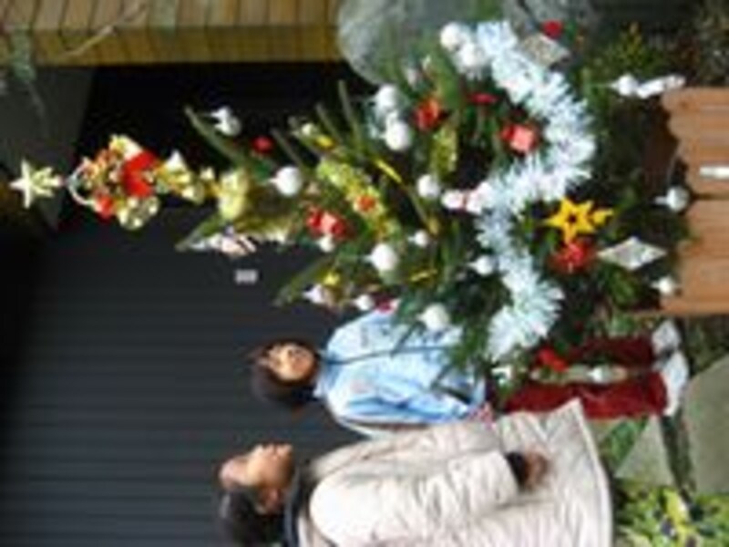 クリスマスツリー