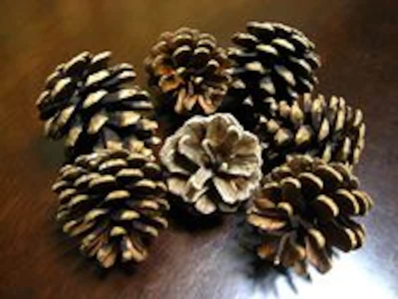 クリスマスツリー