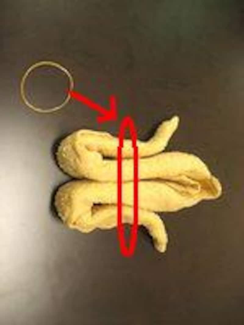 おしぼりアート