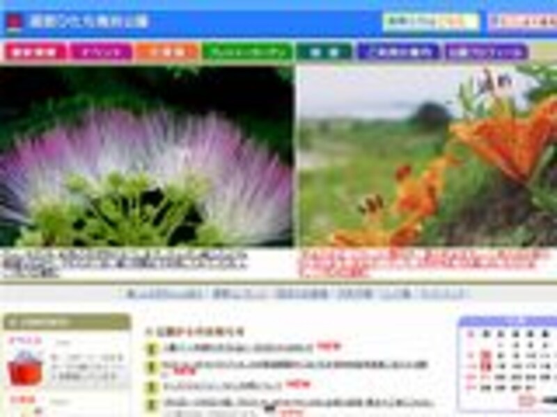 国営ひたち海浜公園