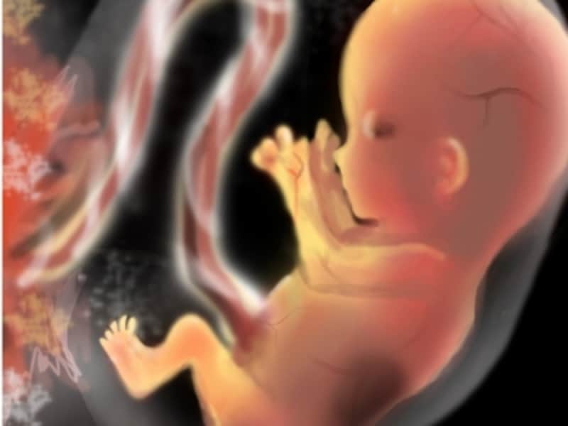 12 週 妊娠 妊娠12週目のエコー写真に見る胎児の特徴｜妊婦が注意したいことは？