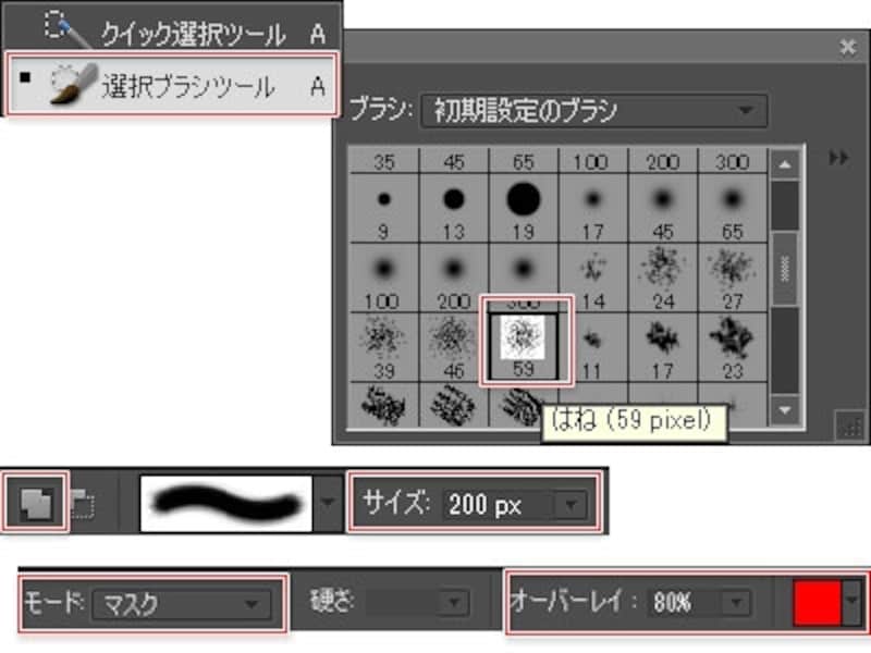 少し目の粗いブラシを選びましょう