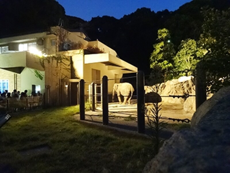 福岡市動植物園