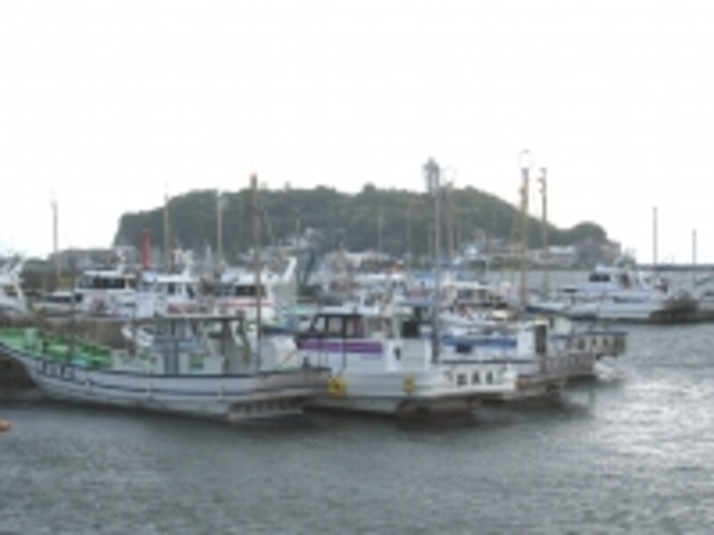 腰越漁協。地元の魚だからだろうか、このあたりの魚屋さんの価格は驚くほど安かった