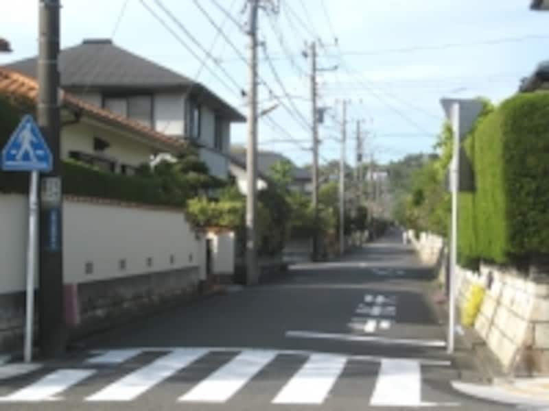 広い一戸建てが整然と並ぶ七里ガ浜東の住宅街。通り沿いには並木もあり、緑が豊富