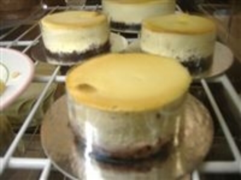 お目当てのチーズケーキ！