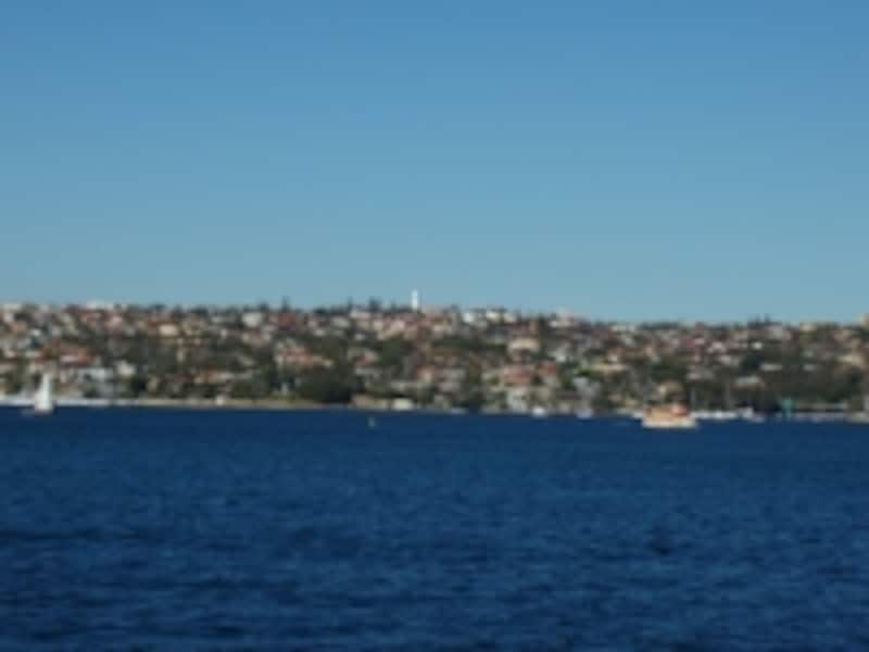 マンリー行きのフェリーから眺める景色は絶景。