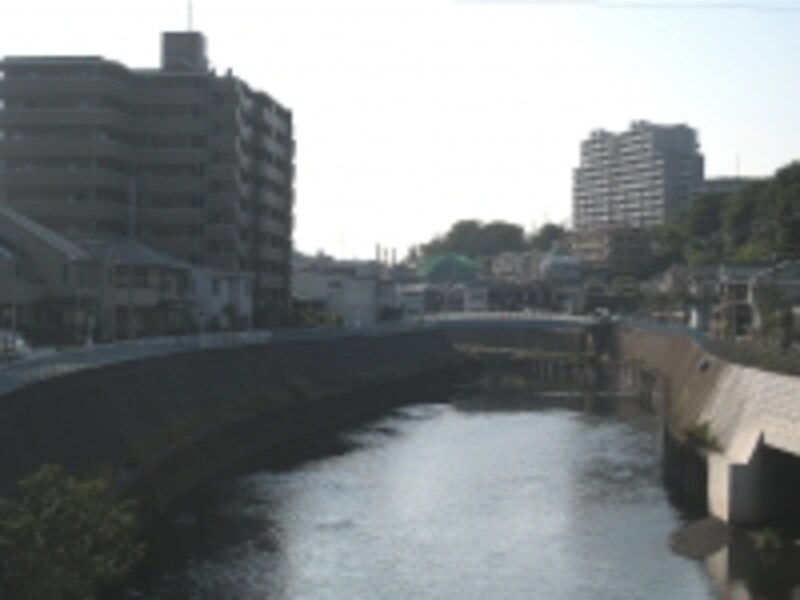 境川沿いのマンション群。川を渡った山側に