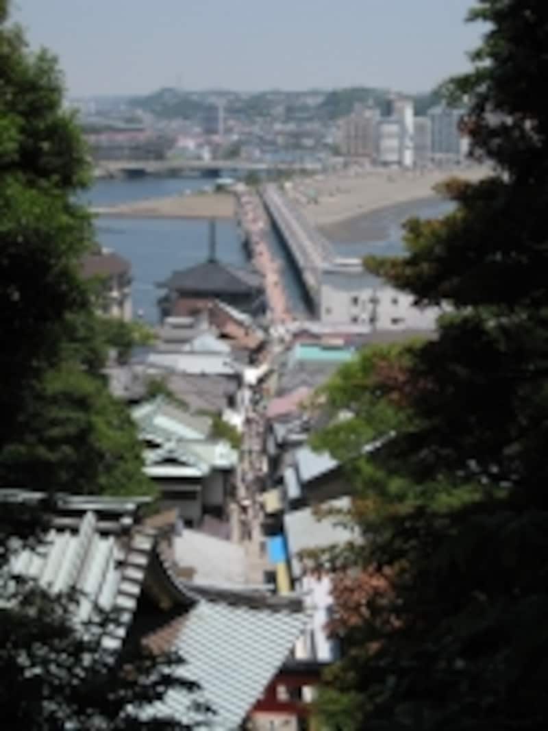 江島神社から駅方面を振り返ってみると海沿いにマンションが集中して並んでいるのがよく分かる