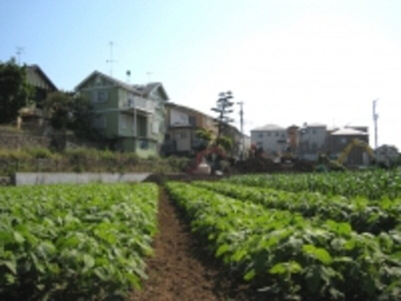 駅から少し離れると、畑に空き地、土の見える公園など、自然を感じる風景が広がる