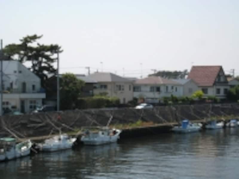 江の島から境川に沿っては風致地区となっているため、川沿いの住宅はいずれも区画が大きく、整備されている
