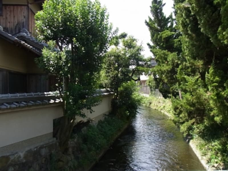 田畑が多い為か水路が多いのも特徴。