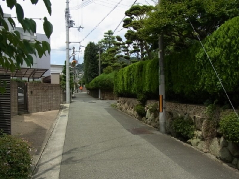 敷地を囲み生け垣は、きちんと手入れがされている。