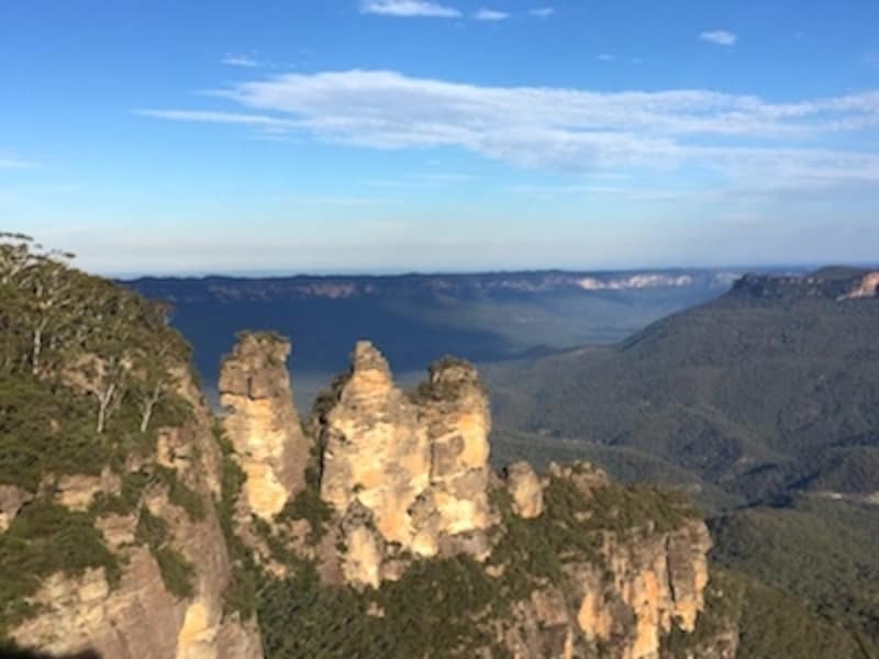 ブルーマウンテンズ