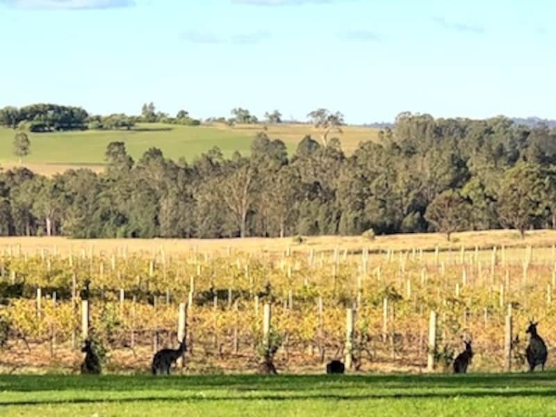 ハンターバレー