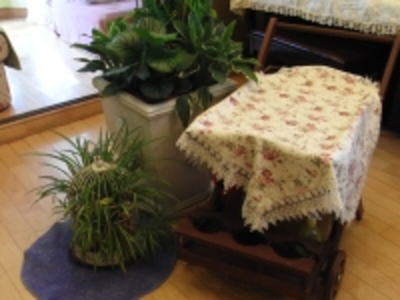 玄関をはいった正面にはこんなコーナーが。布をかけてあるのは食事のときに使うワゴン。まとめて置いてあると違和感ありませんね。