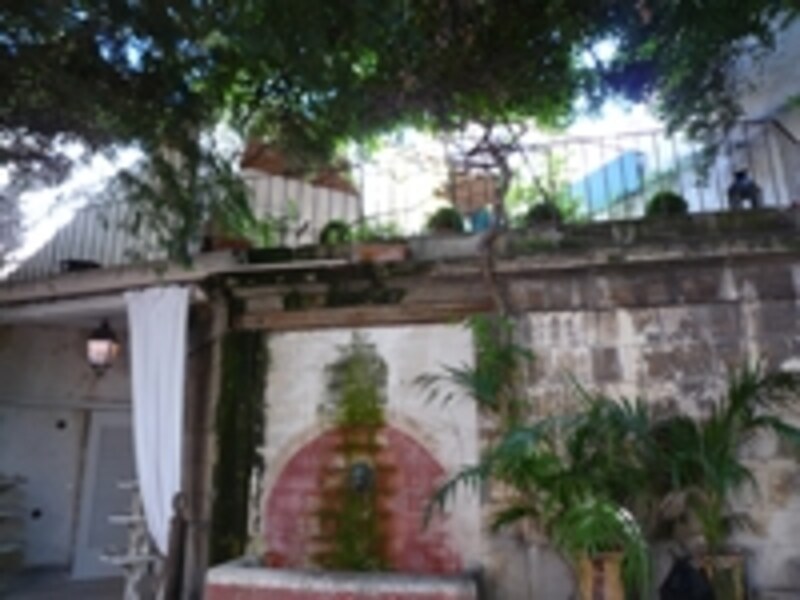 歴史ある建物も見どころの一つ