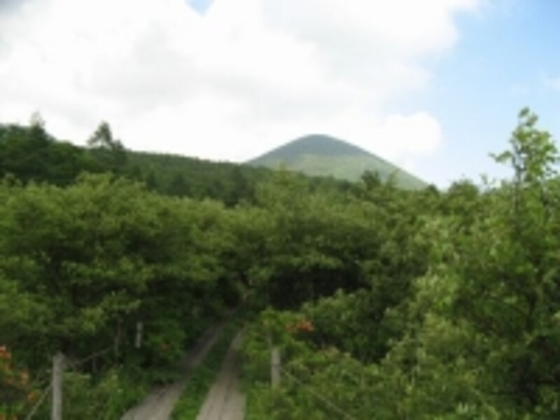 那須五峰のひとつ白笹山の中腹に広がる沼原湿原。豊かな自然が魅力だ