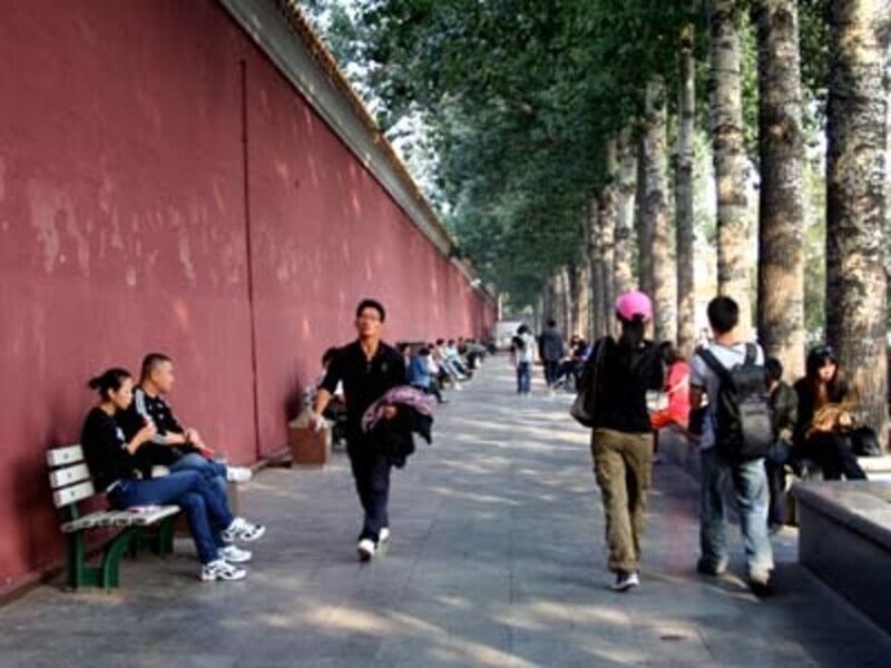 北京人