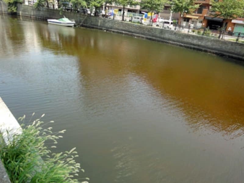 横浜市内を流れる大岡川。猛暑が続いた影響かもしれないが、下流域の水面は赤茶色に