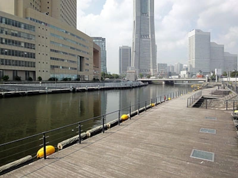「みなとみらい」が近いエリアでは川岸の整備も行なわれているが、水の汚れはさらに悪くなり…
