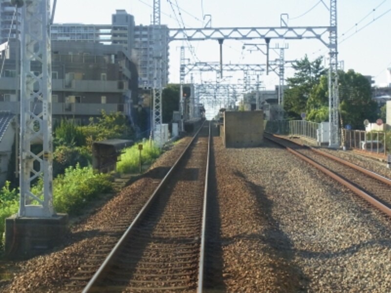 小林を過ぎに側近辺になると、あたりが開けてくる