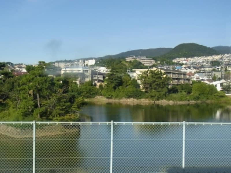 右（西）側の弁天池。周辺は高級住宅街となる。