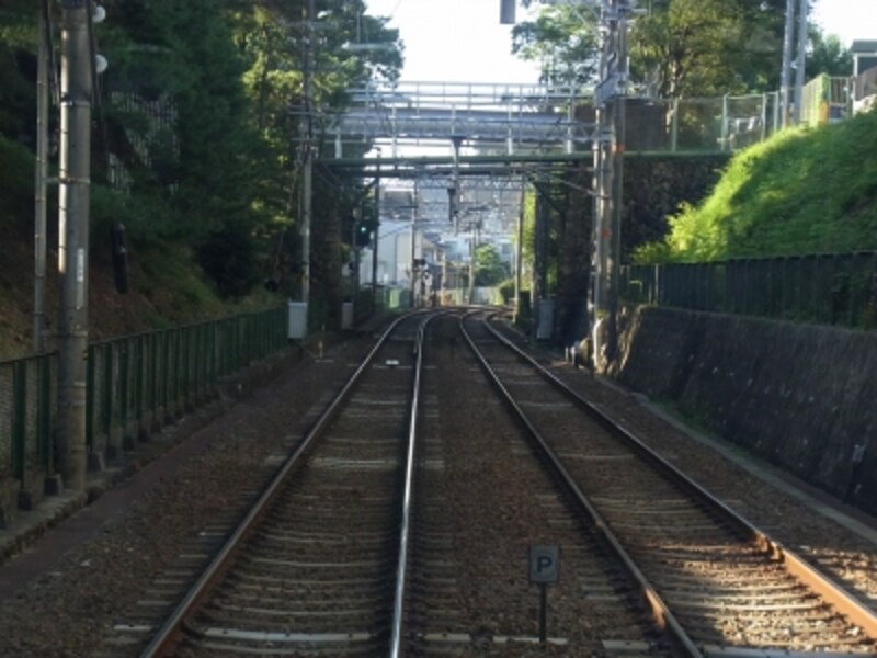 仁川駅を過ぎると、緑の壁のような切り通しが見える