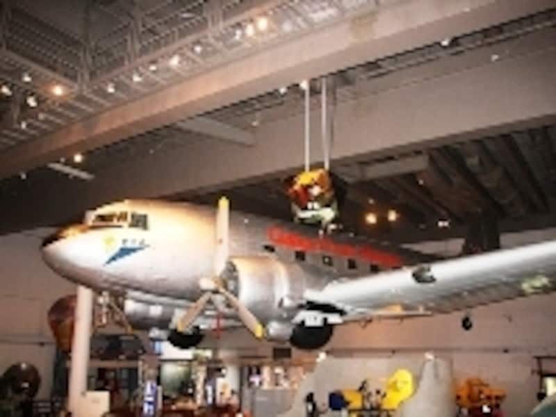 時期によっては恐竜などの特設展示もあるのでチェック