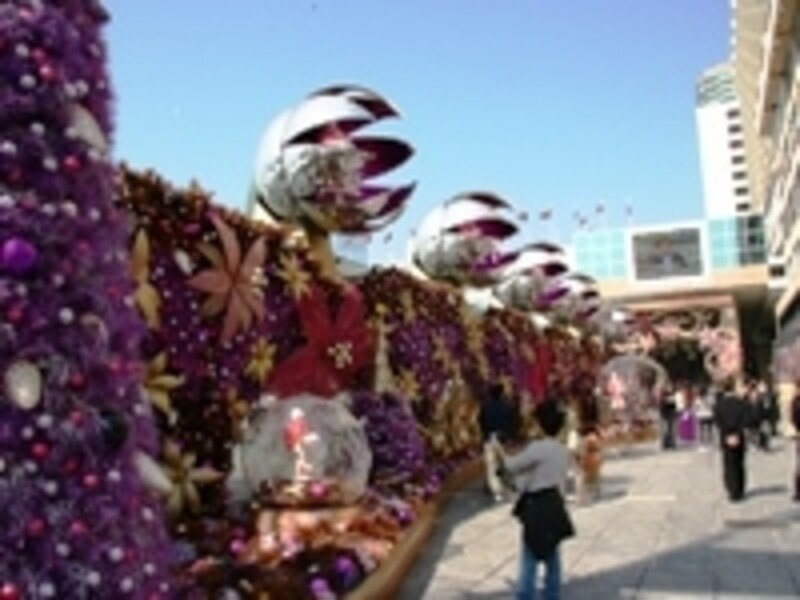 クリスマスシーズンには飾りをつけてホリデー気分UP