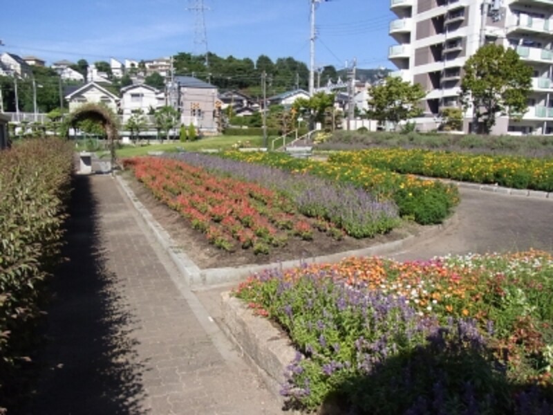 小林駅北東のフラワーガーデン