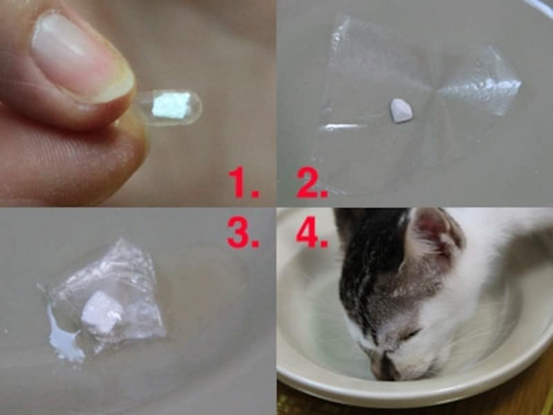 1.粉薬や飲みにくい錠剤はカプセルに入れてundefined2.オブラートに乗せてundefined3.包んで缶詰の汁にひたしますundefined4.舐めて飲み込ませます