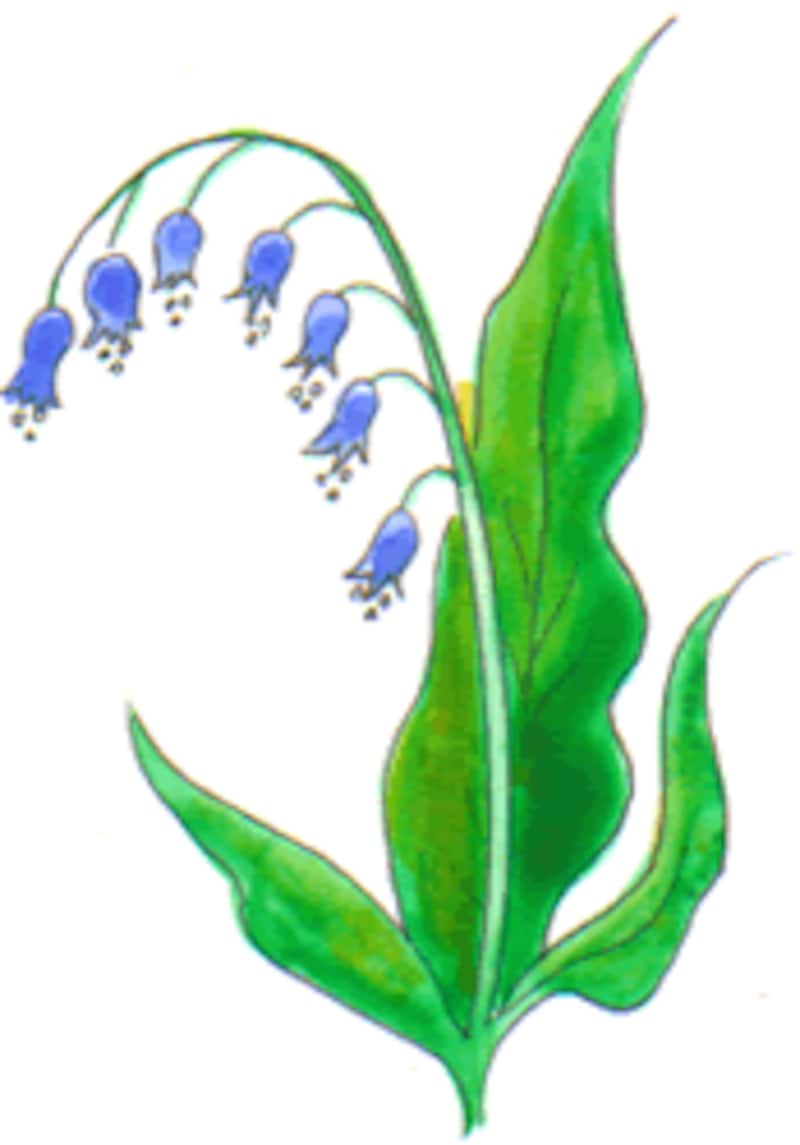 写真のタイトル