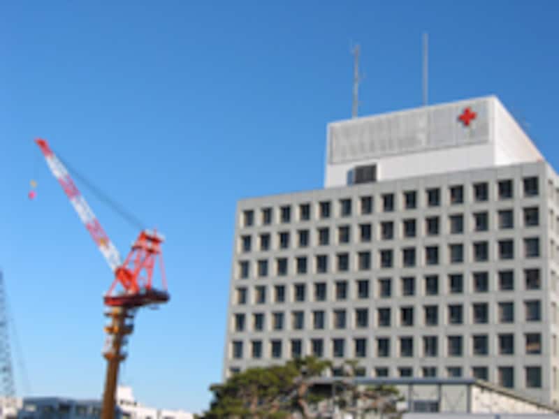 日本赤十字医療センター