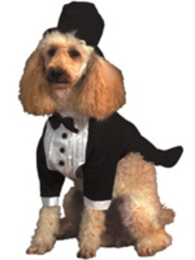 個人輸入で手に入れた、ハロウィン仮装衣装で目立っちゃおう!