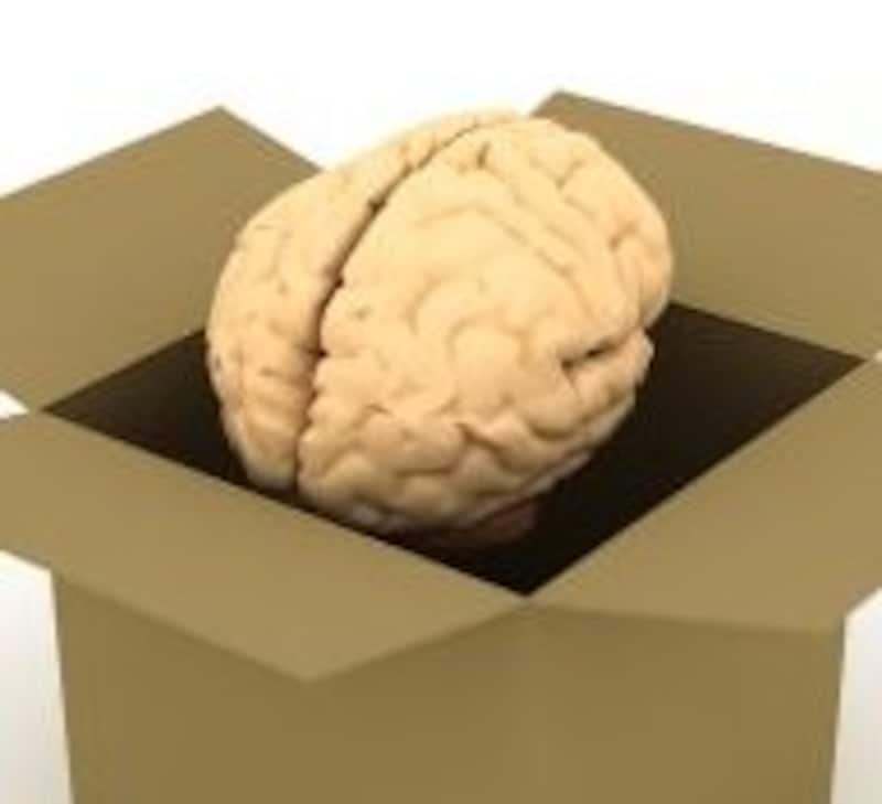 脳の力はすごい！バイリンガル脳はもっとすごい？