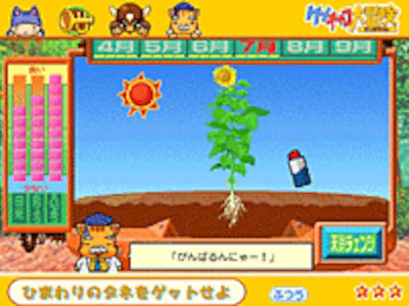 ひまわりのタネをゲットせよ!