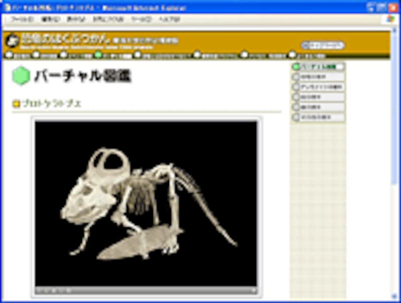 バーチャル図鑑（恐竜のはくぶつかん）