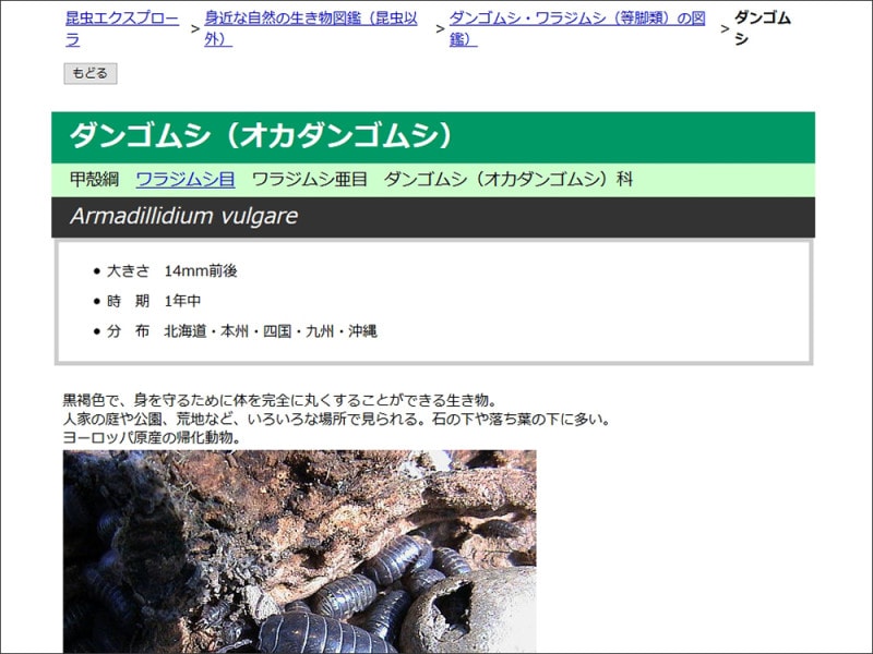 昆虫エクスプローラ昆虫図鑑